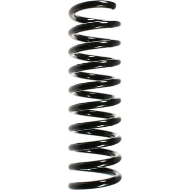 SPIDAN Fahrwerksfeder 49420