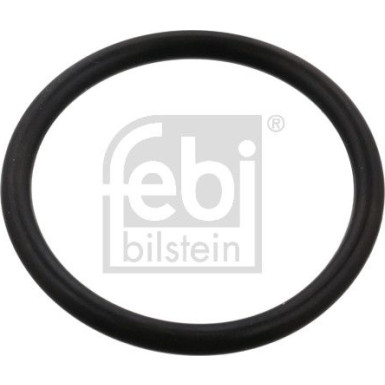 Dichtring | 102594 Dichtring | 102594