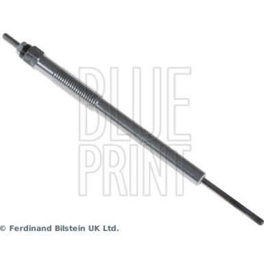 BLUE PRINT Glühkerze ADG01850