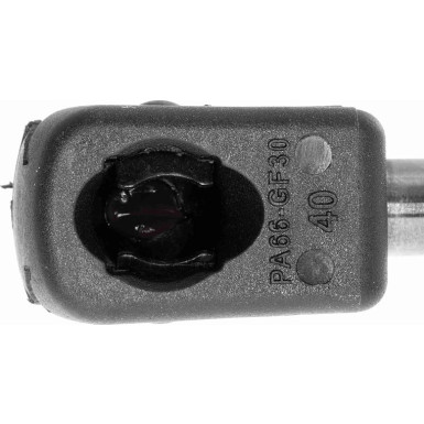 VAICO Gasfeder, Koffer-/Laderaum V20-2878