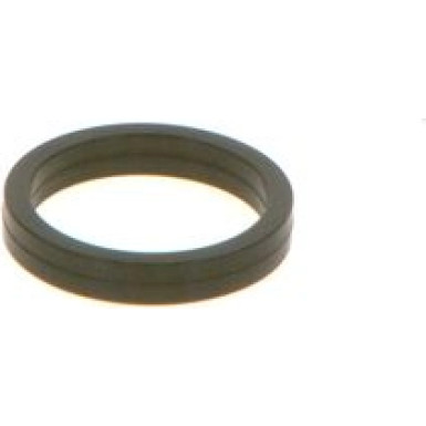 O-Ring | Diverse | F 00V C38 100