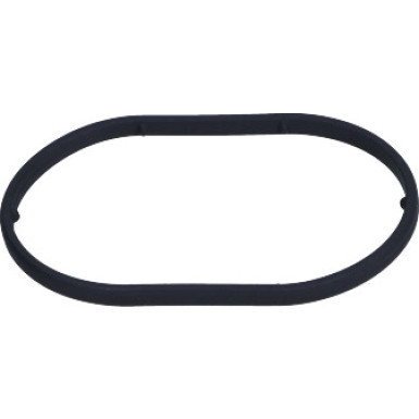 O-Ring | Diverse | 2440210049