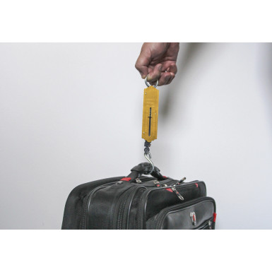 BGS Taschenfederwaage | bis 25 kg | 8033