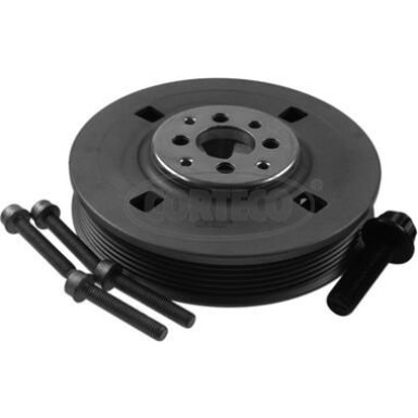 CORTECO Samen 80004333