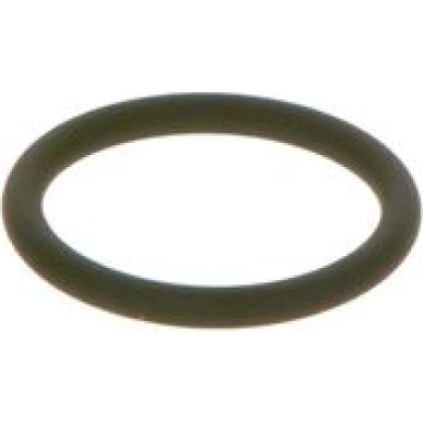 O-Ring | Diverse | F 00R J00 534