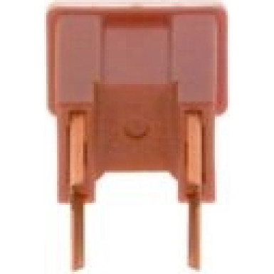 1 987 529 068 Sicherung