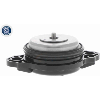 VAICO Zentralmagnet, Nockenwellenverstellung V20-3666