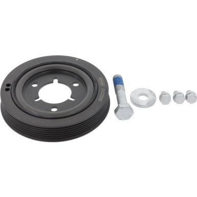 CORTECO Samen 80004883