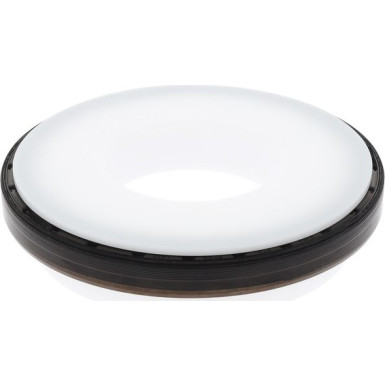 20029606B Wellendichtring, Kurbelwelle