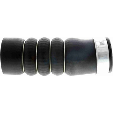 VAICO Ladeluftschlauch VAICO Ladeluftschlauch