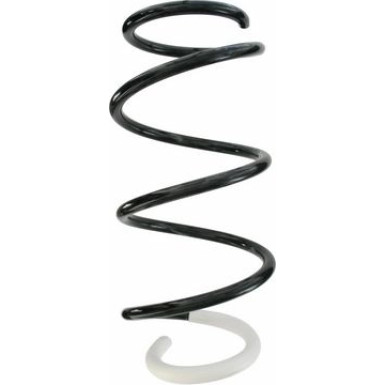 SPIDAN Fahrwerksfeder | 88012