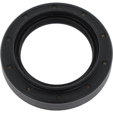 12036825B Wellendichtring, Differential