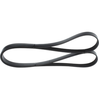 1 987 946 258 Keilrippenriemen