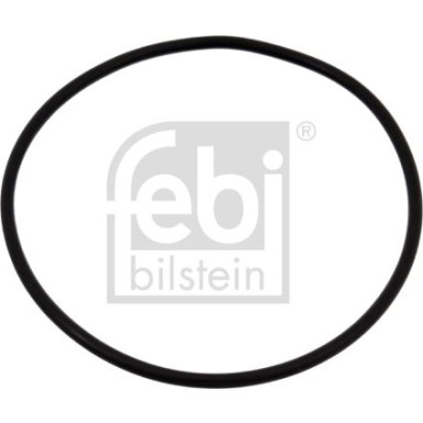 FEBI BILSTEIN Dichtung, Wasserpumpe | 04734