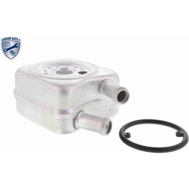 VEMO Ölkühler, Motoröl V15-60-6010 Expert Kits + VEMO Ölkühler, Motoröl V15-60-6010 Expert Kits +