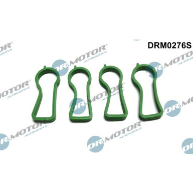 DR.MOTOR Dichtungssatz, Ansaugkrümmer DRM0276S