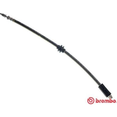BREMBO Bremsschlauch | T 61 028