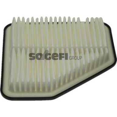 FRAM Luftfilter CA10169