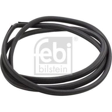FEBI BILSTEIN Dichtung, Windschutzscheibe | 02752