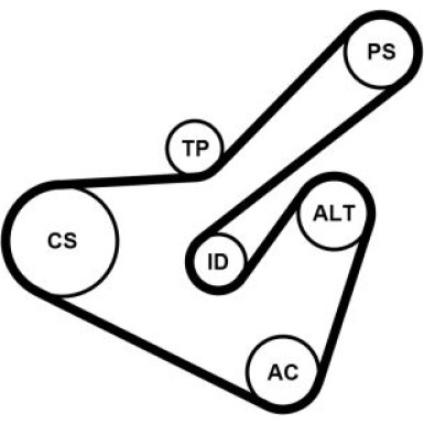 Continental CTAM Satz Gürtel 6PK1725K2