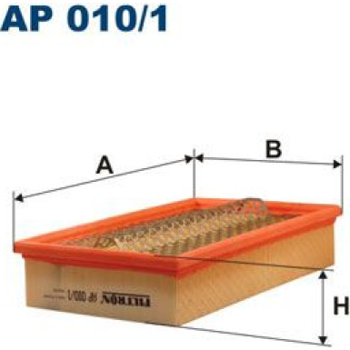 FILTRON Luftfilter | AP 010/1