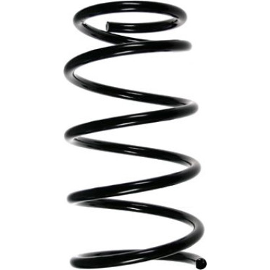 SPIDAN Fahrwerksfeder | 49679