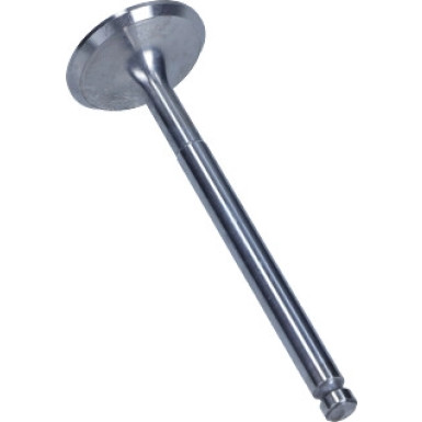 Einla-Ventil | R4686/SCR Einla-Ventil | R4686/SCR