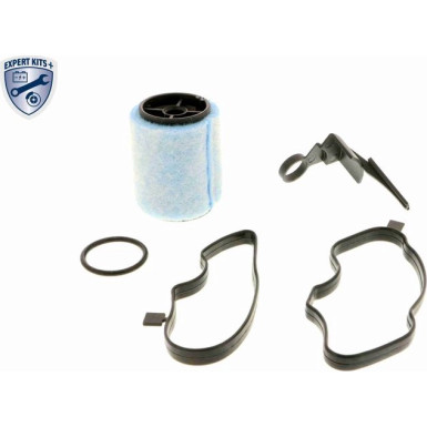 VAICO Ventil, Kurbelgehäuseentlüftung V20-0955 Expert Kits +