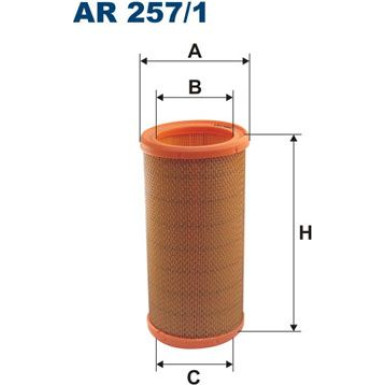 FILTRON Luftfilter AR 257/1
