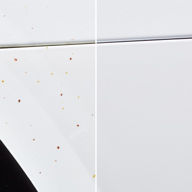 Sonax Flugrost Entferner 750ml FlugrostEntferner 05134000