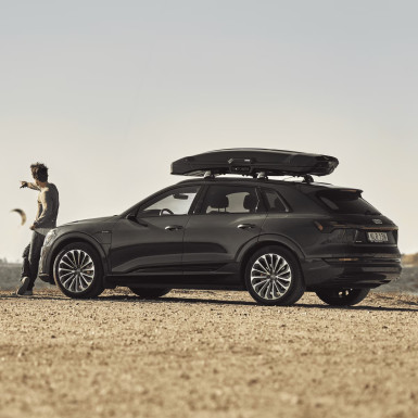 Thule Box Vector Alpine schwarz Metallic - 613501 | L-228 B-88,5 H-32, 380 Liter, 75kg
