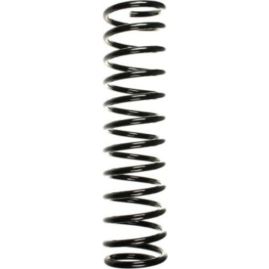 SPIDAN Fahrwerksfeder | 49535