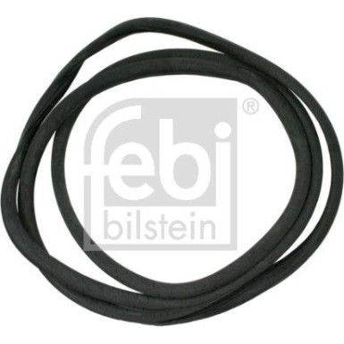 FEBI BILSTEIN Dichtung, Windschutzscheibe | 02789