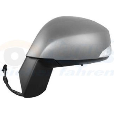 Außenspiegel Renault Scenic III asph.10Pins+Blink.Sens OE 963024894R HAGUS 4380827