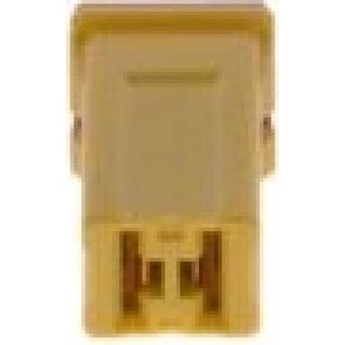 1 987 529 061 Sicherung