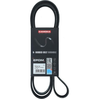 7016173 Keilrippenriemen