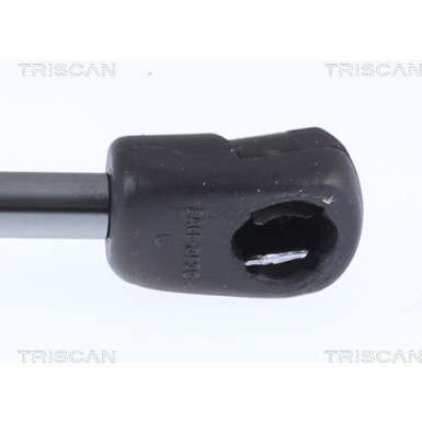 GASFEDER, MOTORHAUBE 871023135