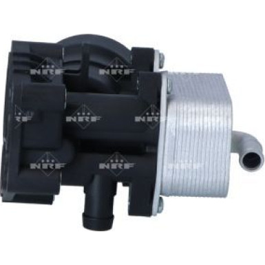 Ölkühler, Motor“L | 31838