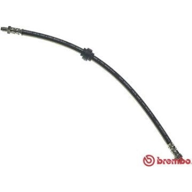 BREMBO Bremsschlauch | T 68 034
