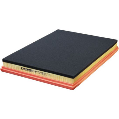 FILTRON Luftfilter AP 137/8