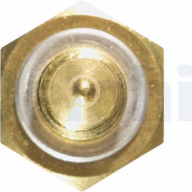 DELPHI Temperatursensor TS10270