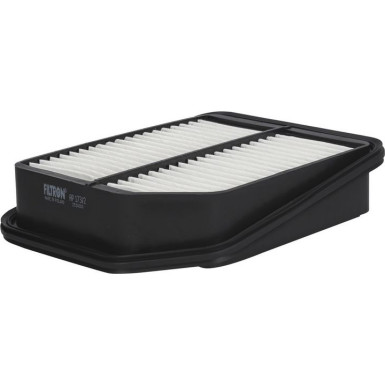 FILTRON Luftfilter AP 173/2