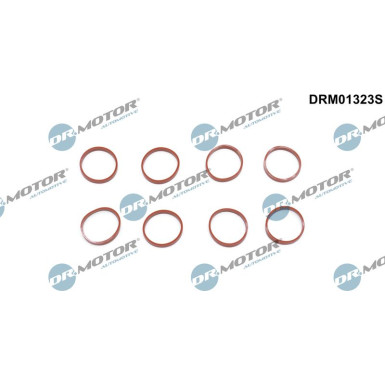DR.MOTOR Dichtungssatz, Ansaugkrümmer DRM01323S