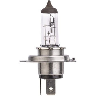 HELLA Glühlampe 8GJ 007 255-123 HELLA Glühlampe 8GJ 007 255-123