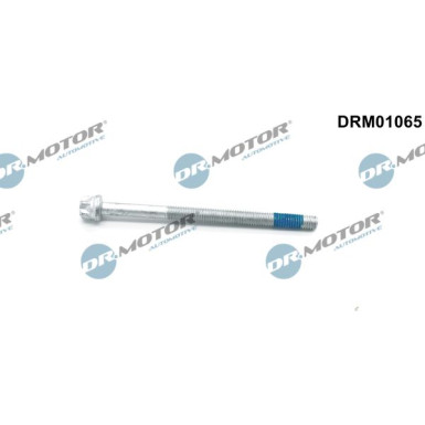 DR.MOTOR Schraube, Einspritzdüsenhalter DRM01065 DR.MOTOR Schraube, Einspritzdüsenhalter DRM01065