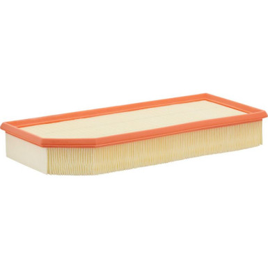 FILTRON Luftfilter AP 118/9
