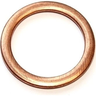 Dichtring SONSTIGE 813.087