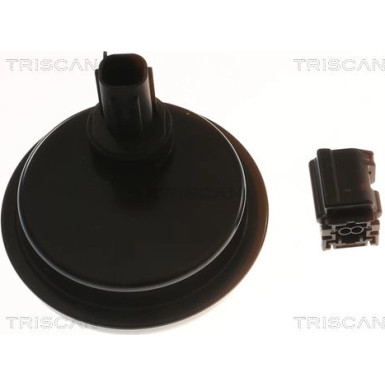 Sensor, Raddrehzahl 818013202