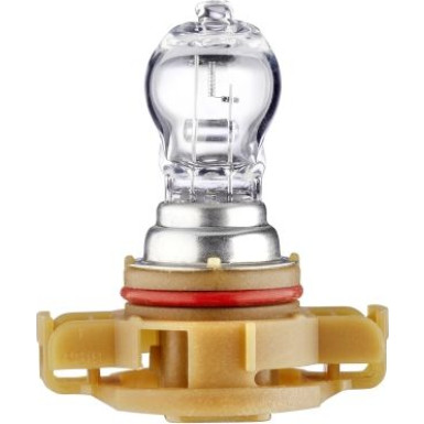 HELLA Glühlampe, Park-/Positionsleuchte 8GA 223 569-021