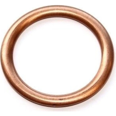 Dichtring 813.133